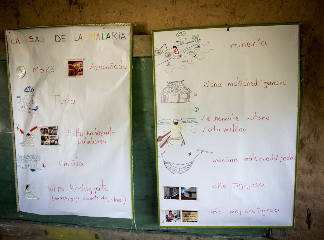 Proyecto de aula Malaria
