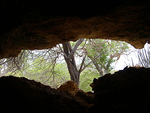 Cuevas de Paraguaná